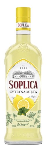cytryna mieta.jpg