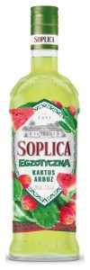 SOPLICA KAKTUS ARBUZ 21% 0,5