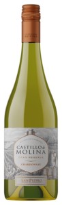 Castillo de Molina Gran Reserva Chardonnay 2025 0,75 13% B/W