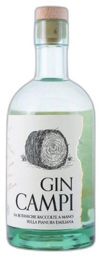 Gin Campi 39% 0,7