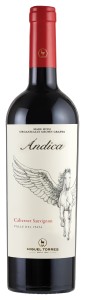 ANDICA CABERNET SAUVIGNON 13,5% 0,75 C/W