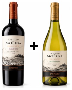 Pakiet Castillo de Molina Gran Reserva Carmenere 0,75 14% C/W + Chardonnay 13% 0,75 B\W