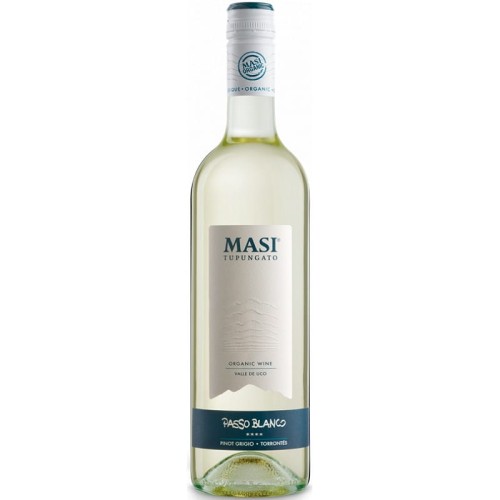 passo-blanco-masi-tupungato.jpg