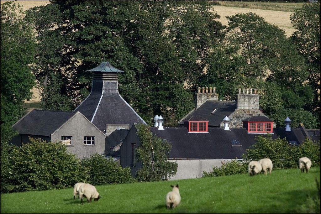 Destylarnia GlenDronach w Dolinie Jeżyn